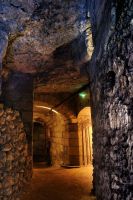 Amboise 25 Visit-of-the-underground-passages-4